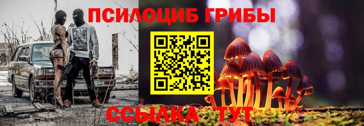 Галлюциногенные грибы Magic Shrooms Качканар