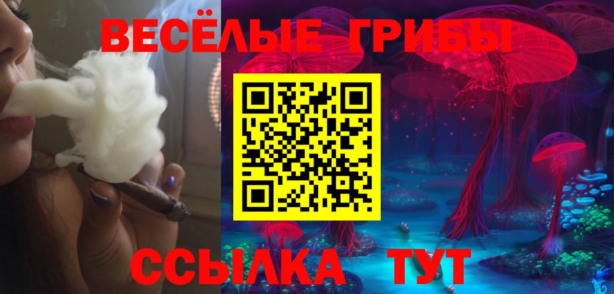 Псилоцибиновые грибы Psilocybine cubensis  Псилоцибиновые грибы прущие грибы  Качканар  Вход с VPN 